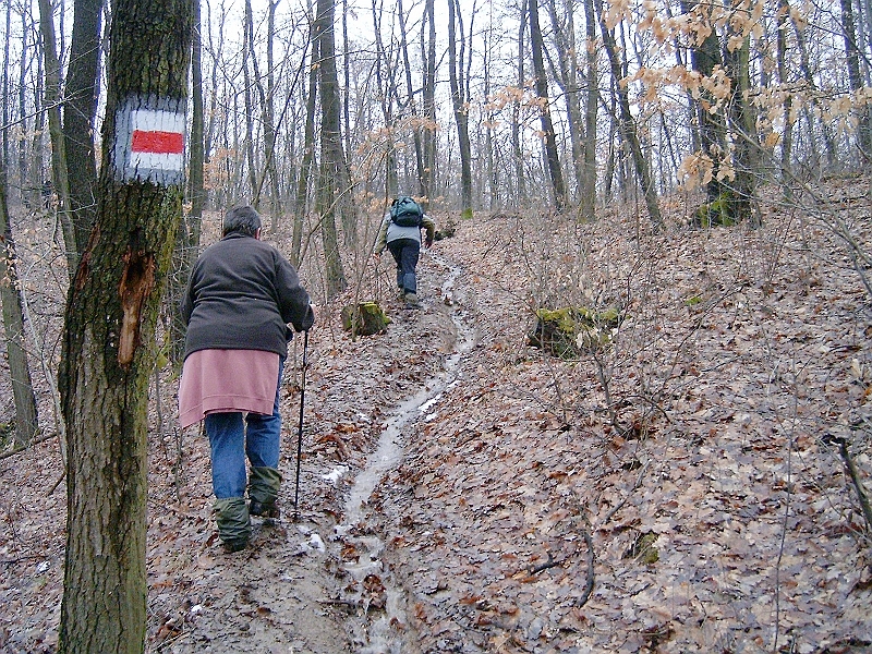 20100220 081.jpg